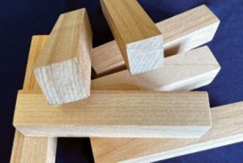 Enrich-ology Wood Chew Blocks